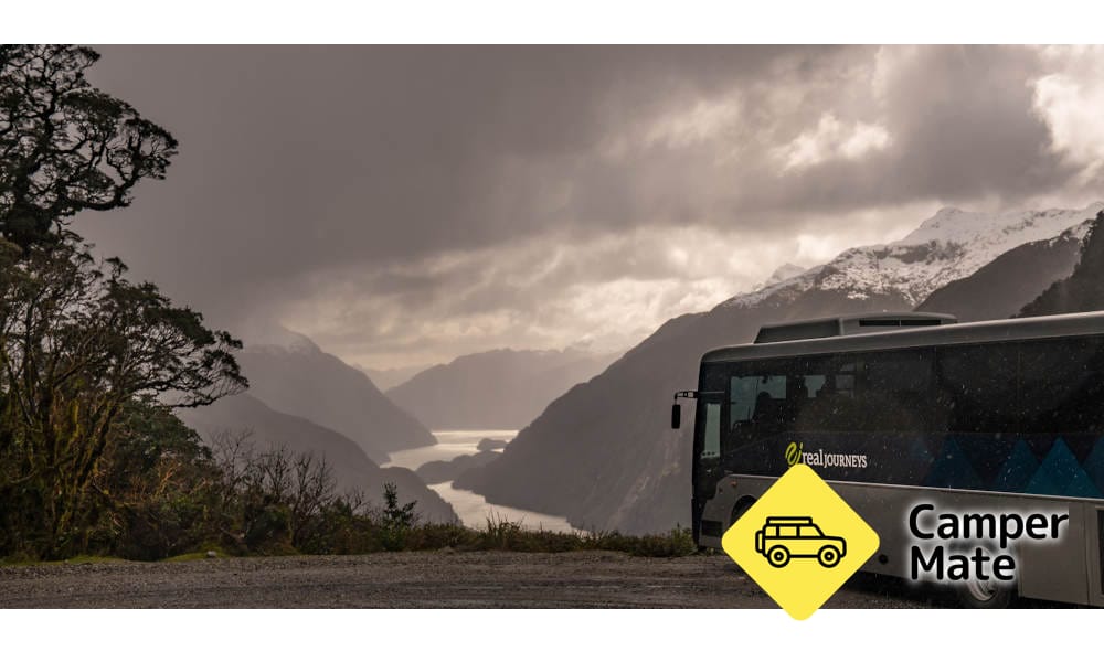 Doubtful Sound Wilderness Cruise - Image 2