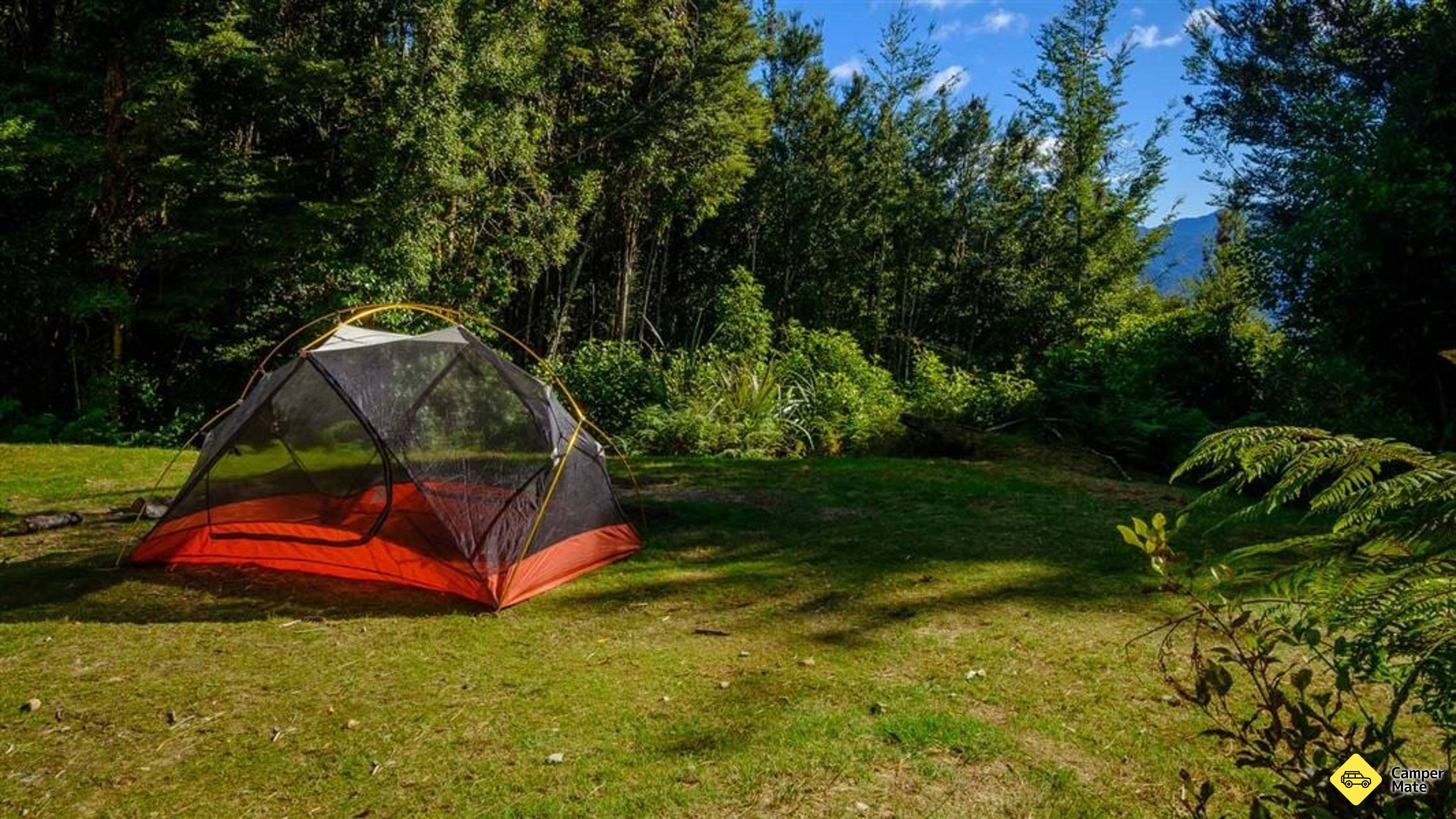 Aorere Shelter Campsite