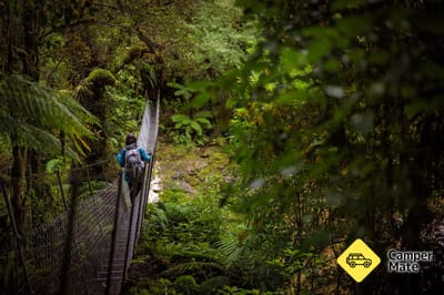 Oparara Arch Track