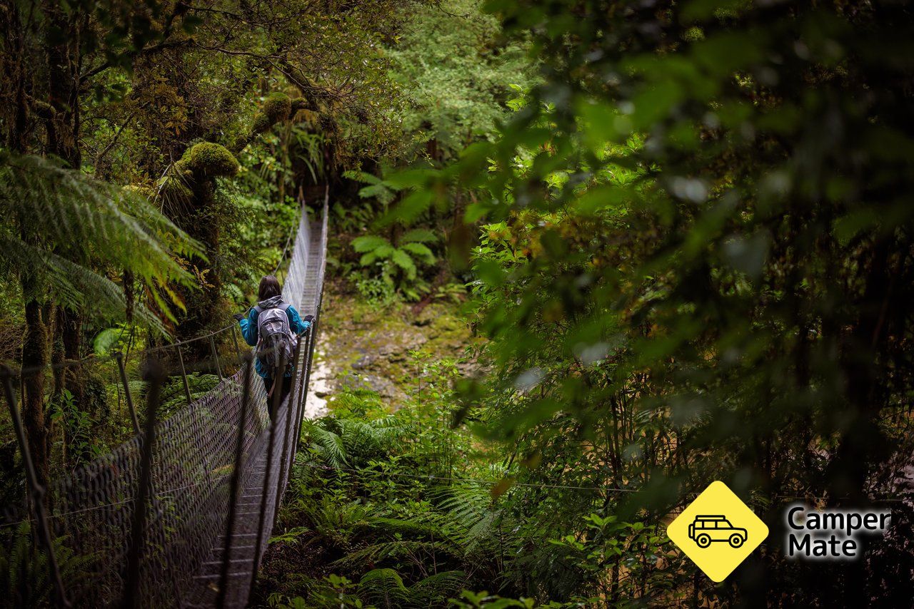 Oparara Arch Track på vei