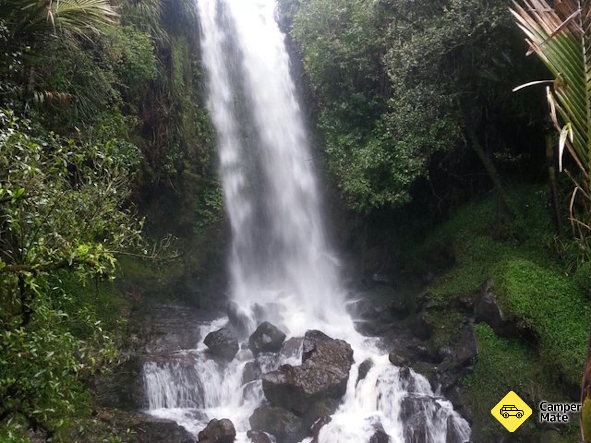 Bảng giá Vivian Falls Walk - Image 3