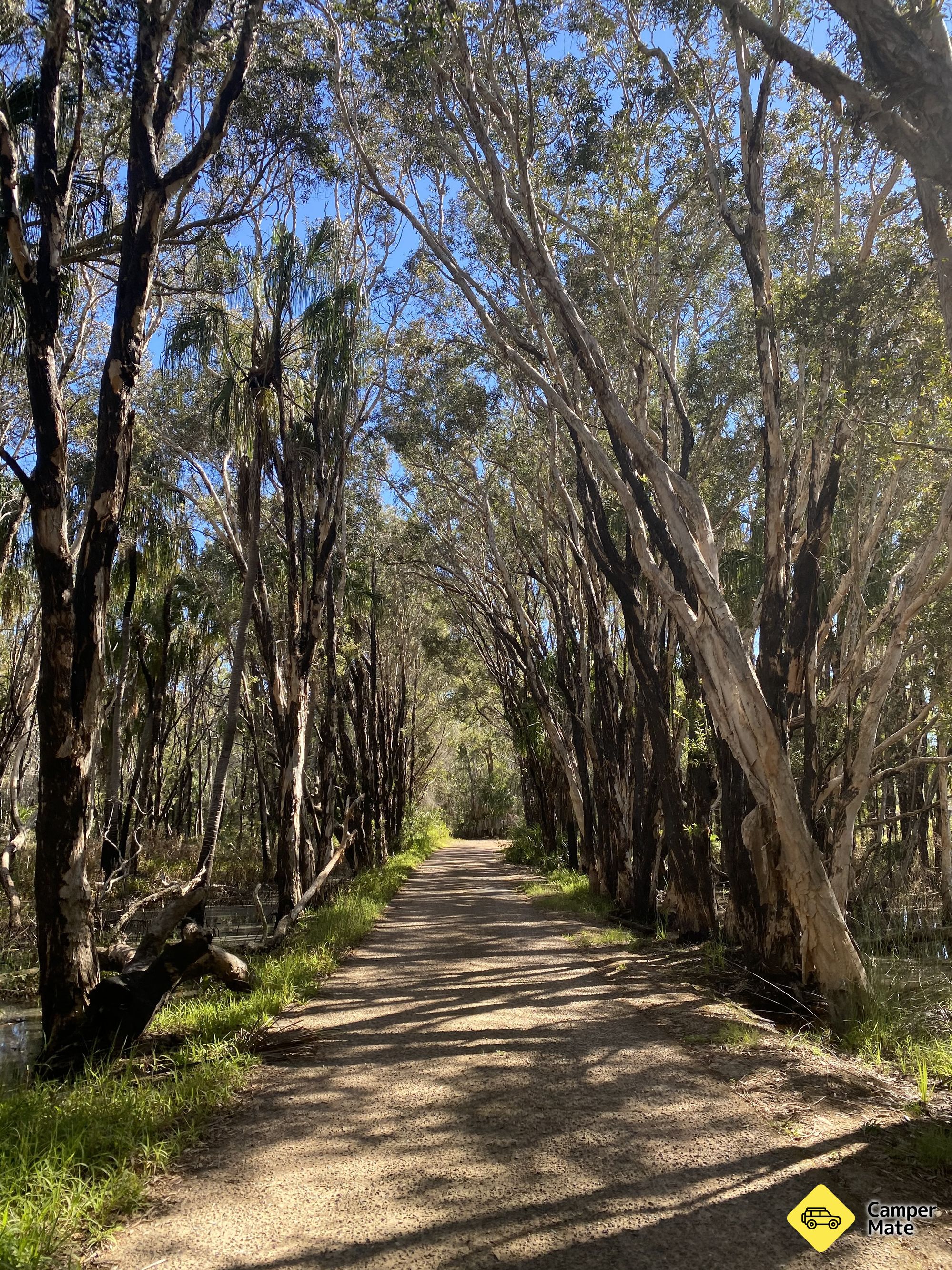 Deepwater Hideaway Bush Camp Stay - Image 3