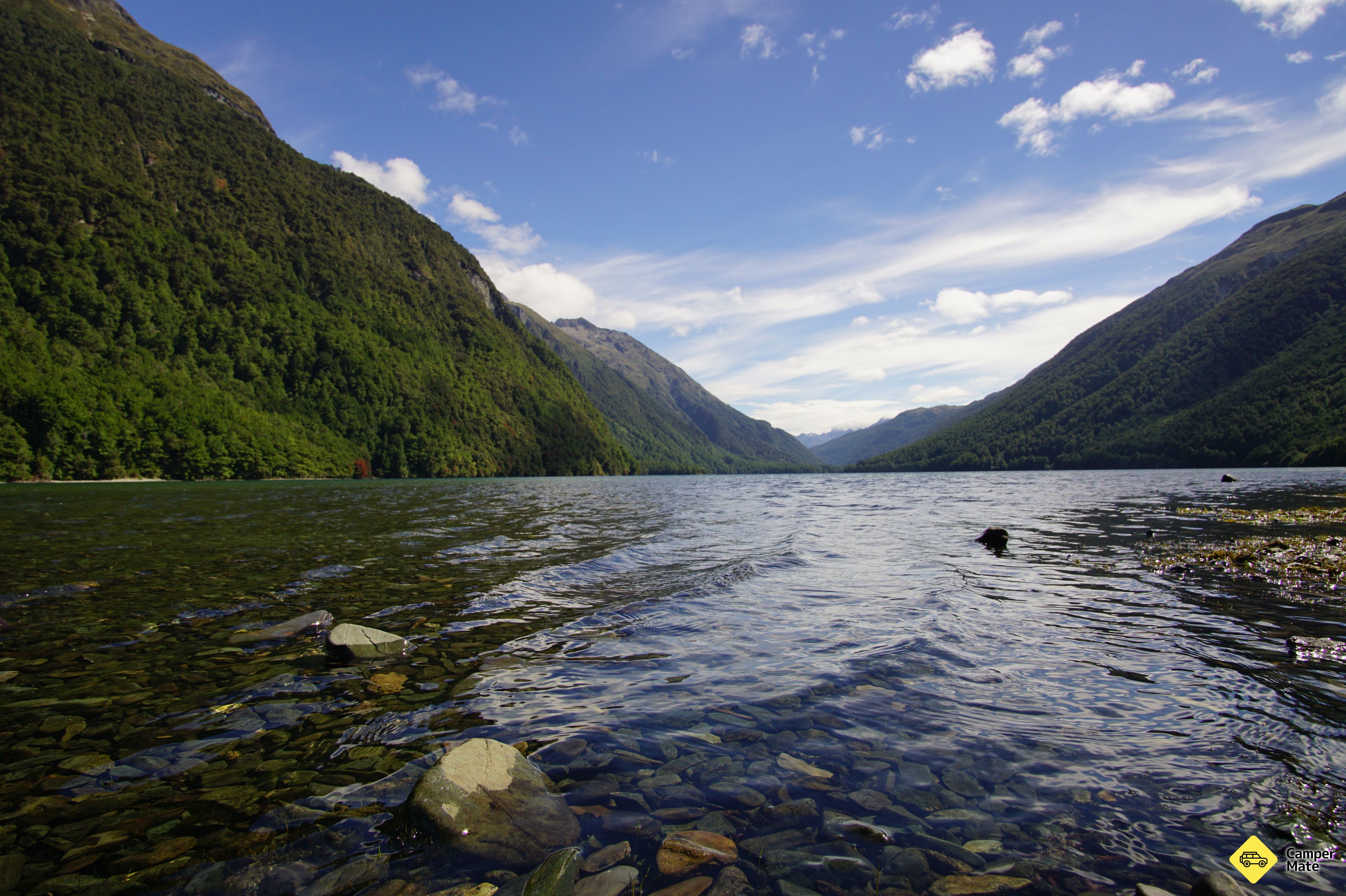 Lake Gunn Nature Walk - Image 3