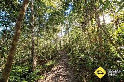 Bowenia Rainforest Circuit