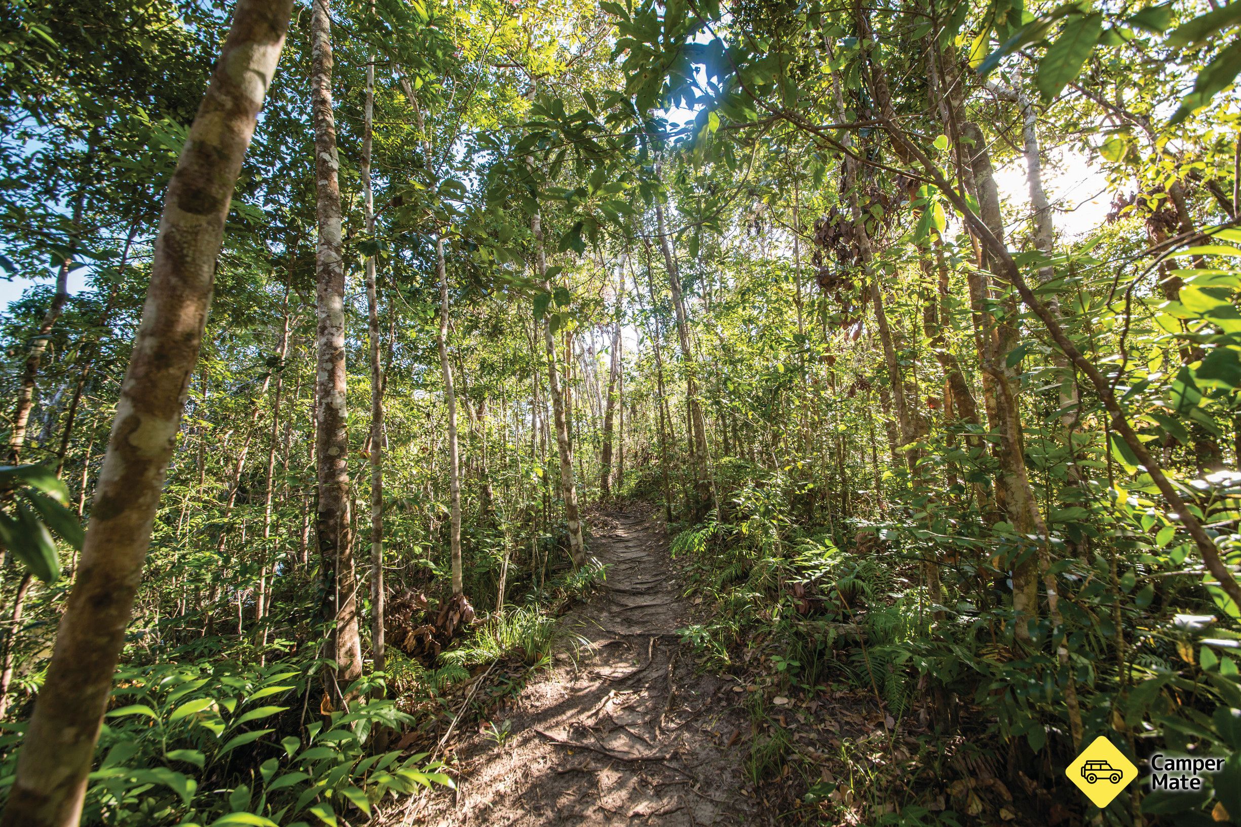 Bowenia Rainforest Circuit