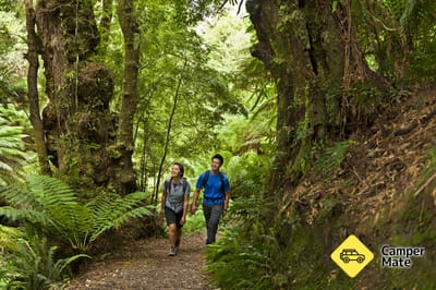 Melba Gully