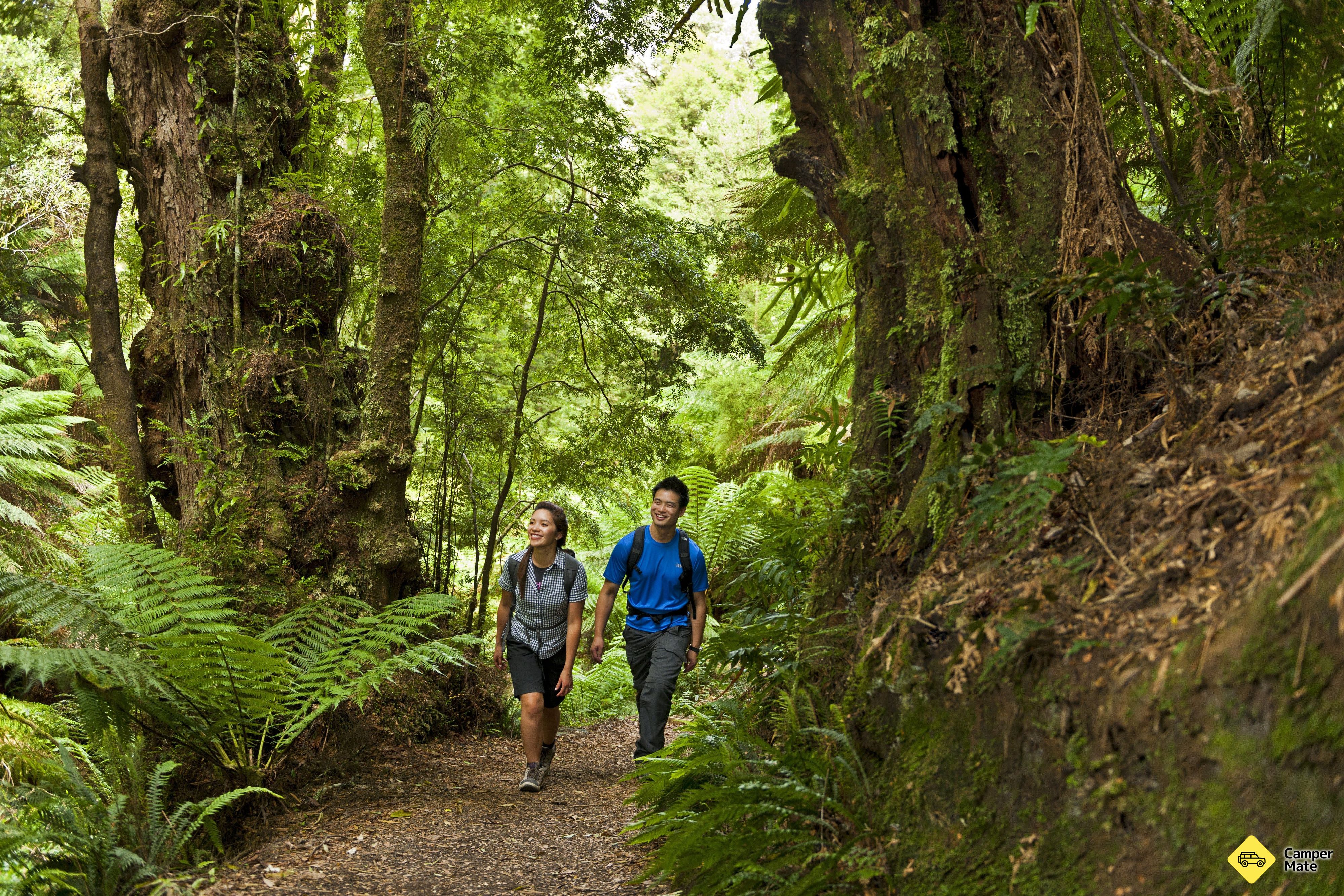 Melba Gully