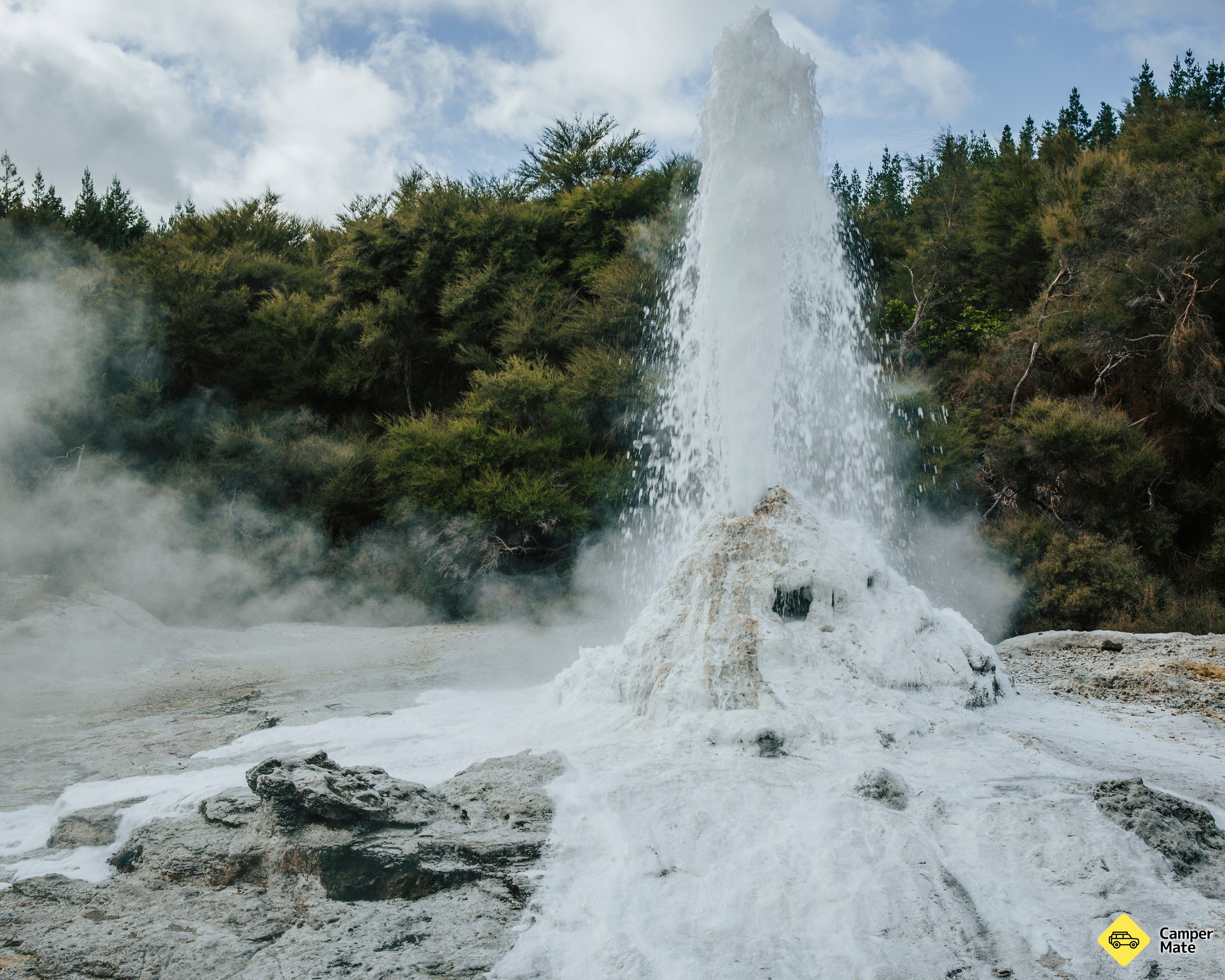 Lady Knox Geyser - Image 3