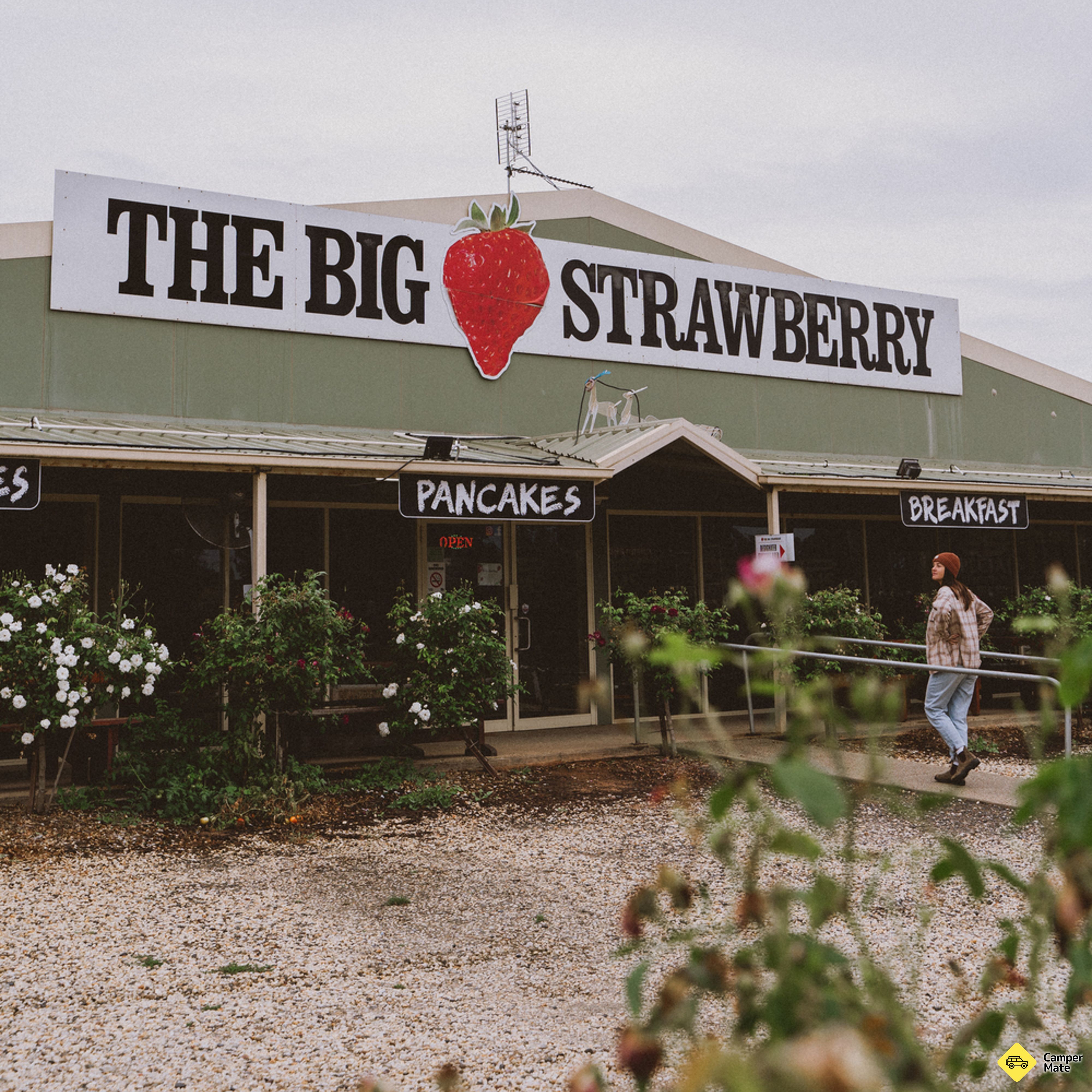 The Big Strawberry - Image 2