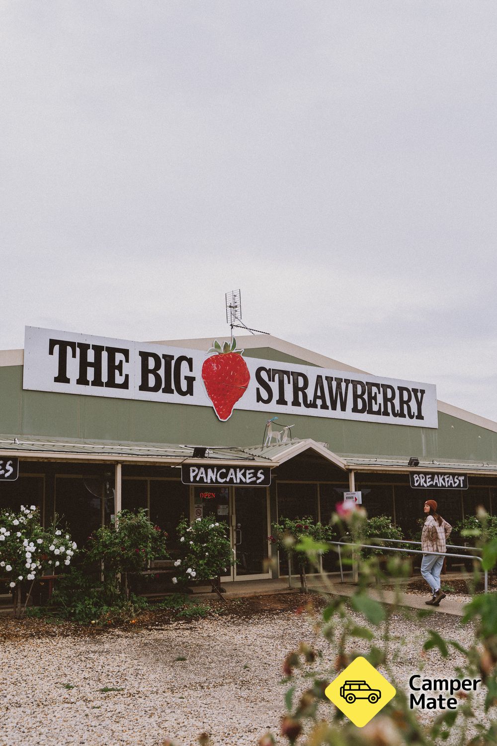 The Big Strawberry - Image 2
