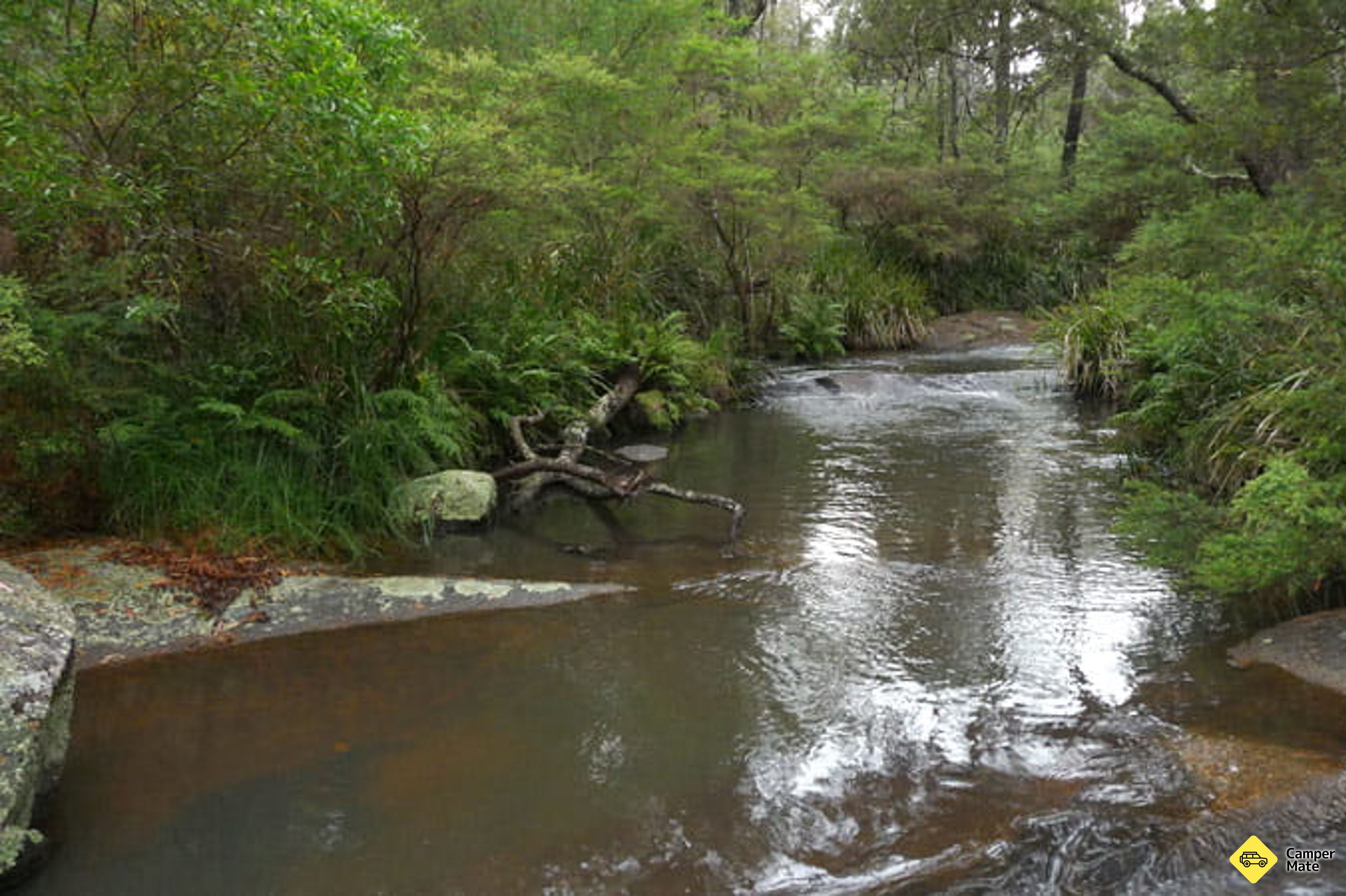 Le camping de Chaelundi - Image 3