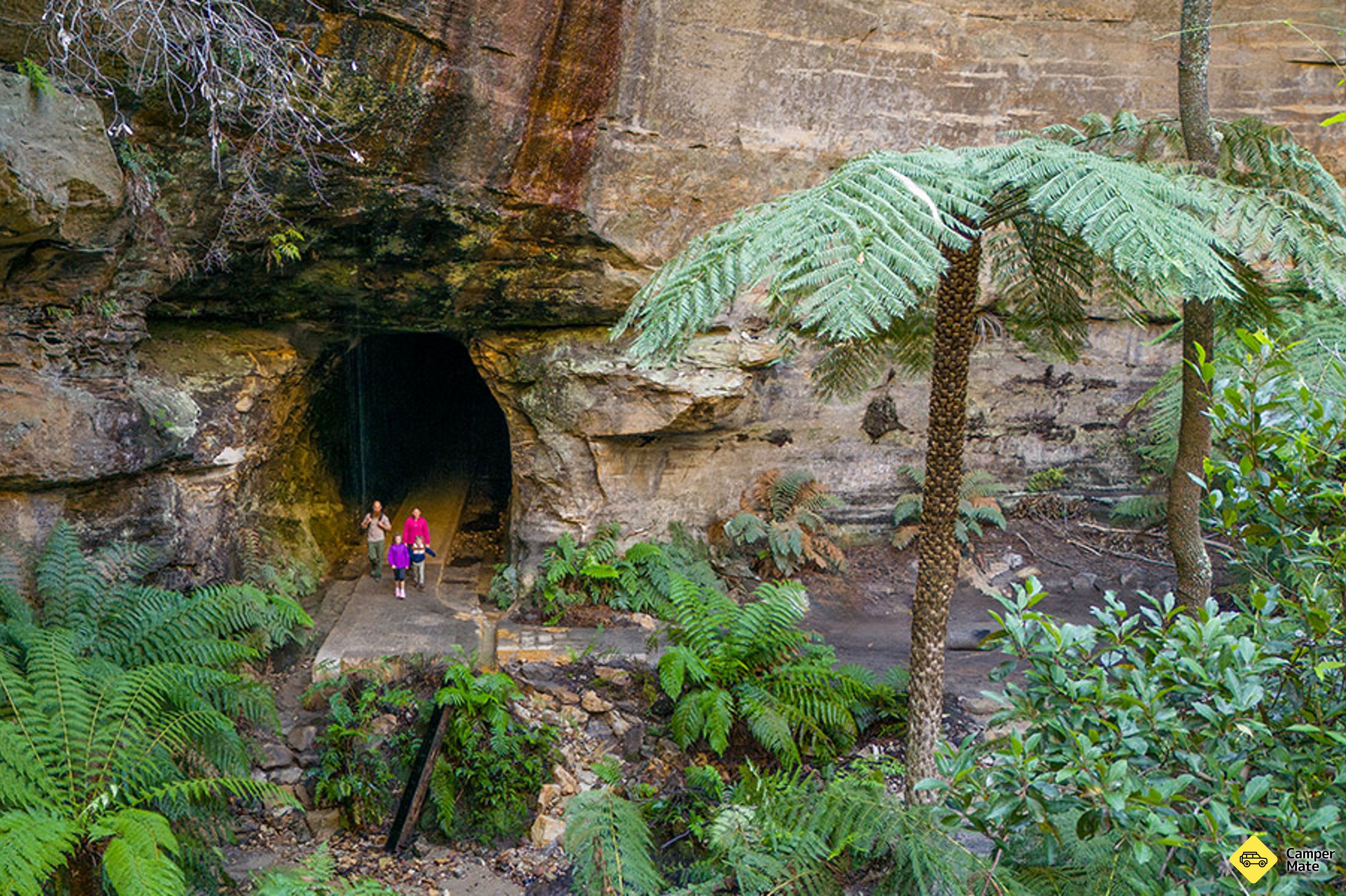 Glow Worm Tunnel - Image 3