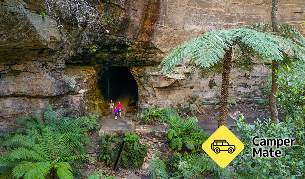 Glow Worm Tunnel - Image 3