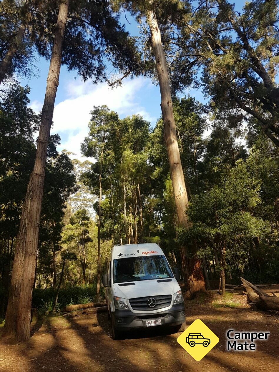 Big Brook Arboretum Hakkında
