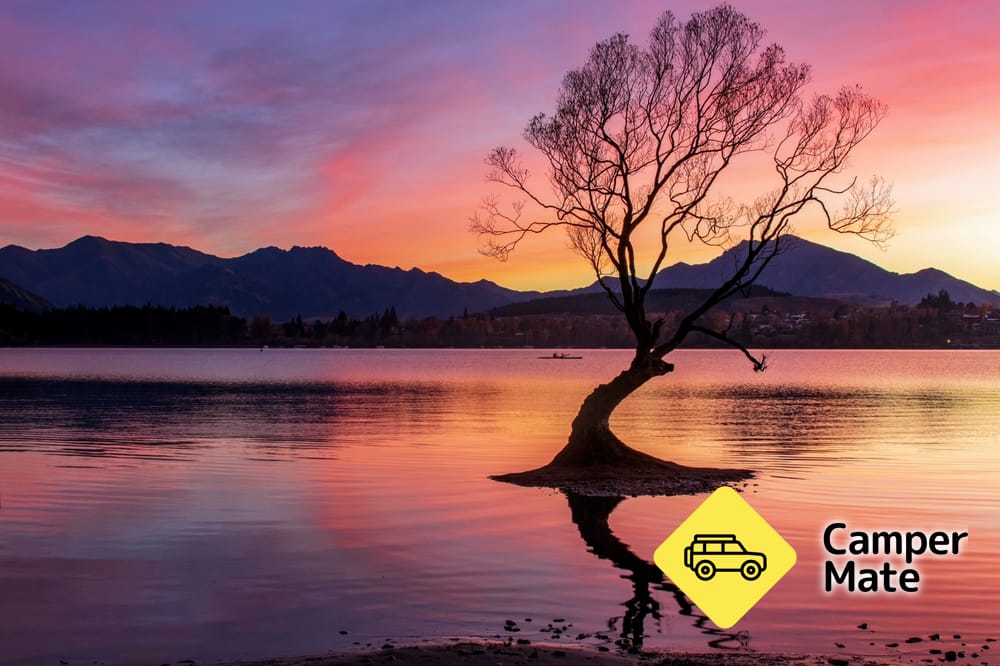 Dieser Wanaka Baum - Image 3