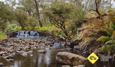 Gummi Falls Campground