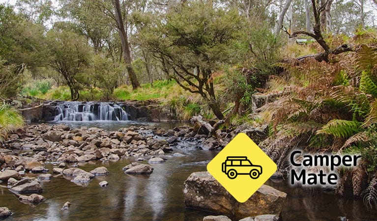Spesifikasi Gummi Falls Campground