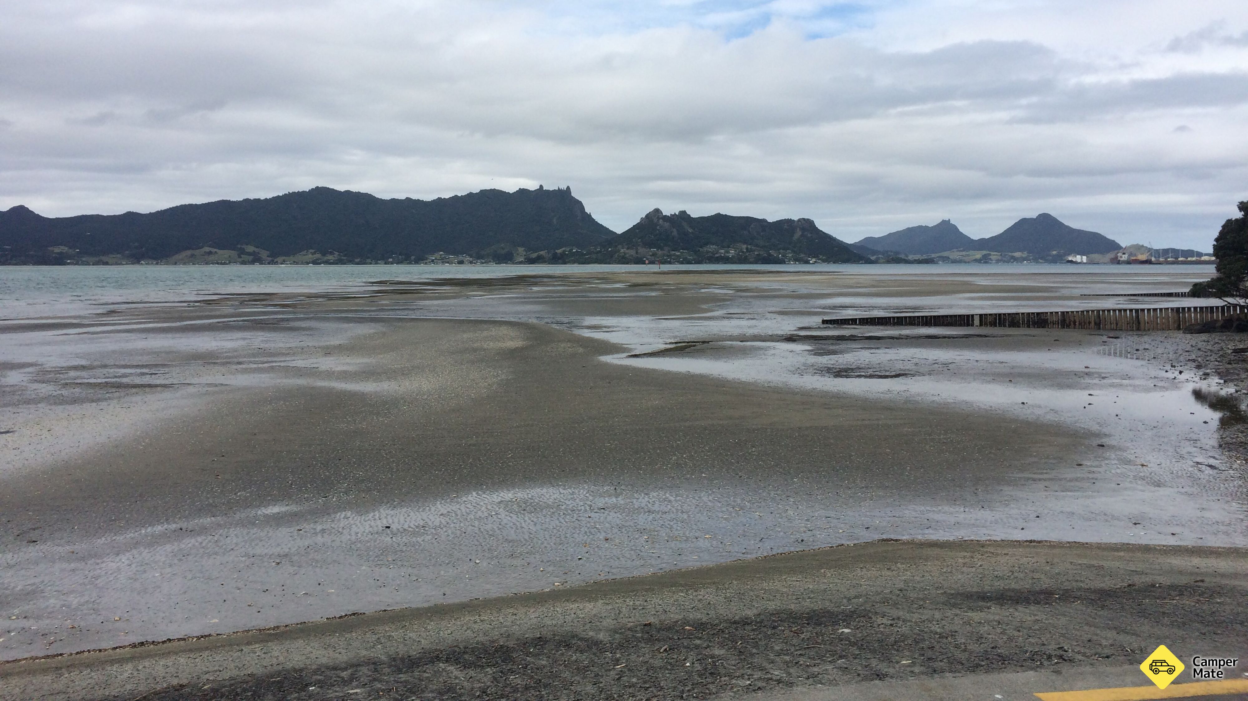 One Tree Point Beach 근처 오락거리
