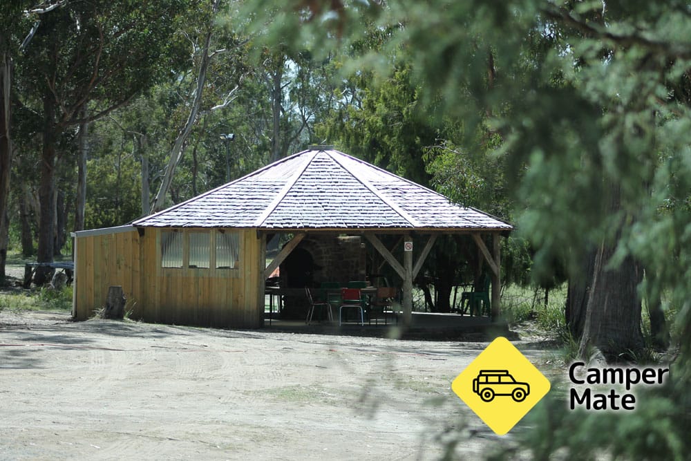 El campo de Lea Bush - Image 2
