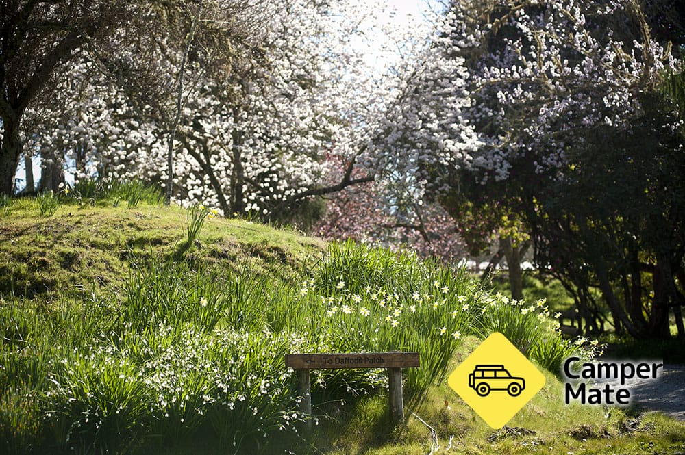 Eastwoodhill Arboretum - Image 3