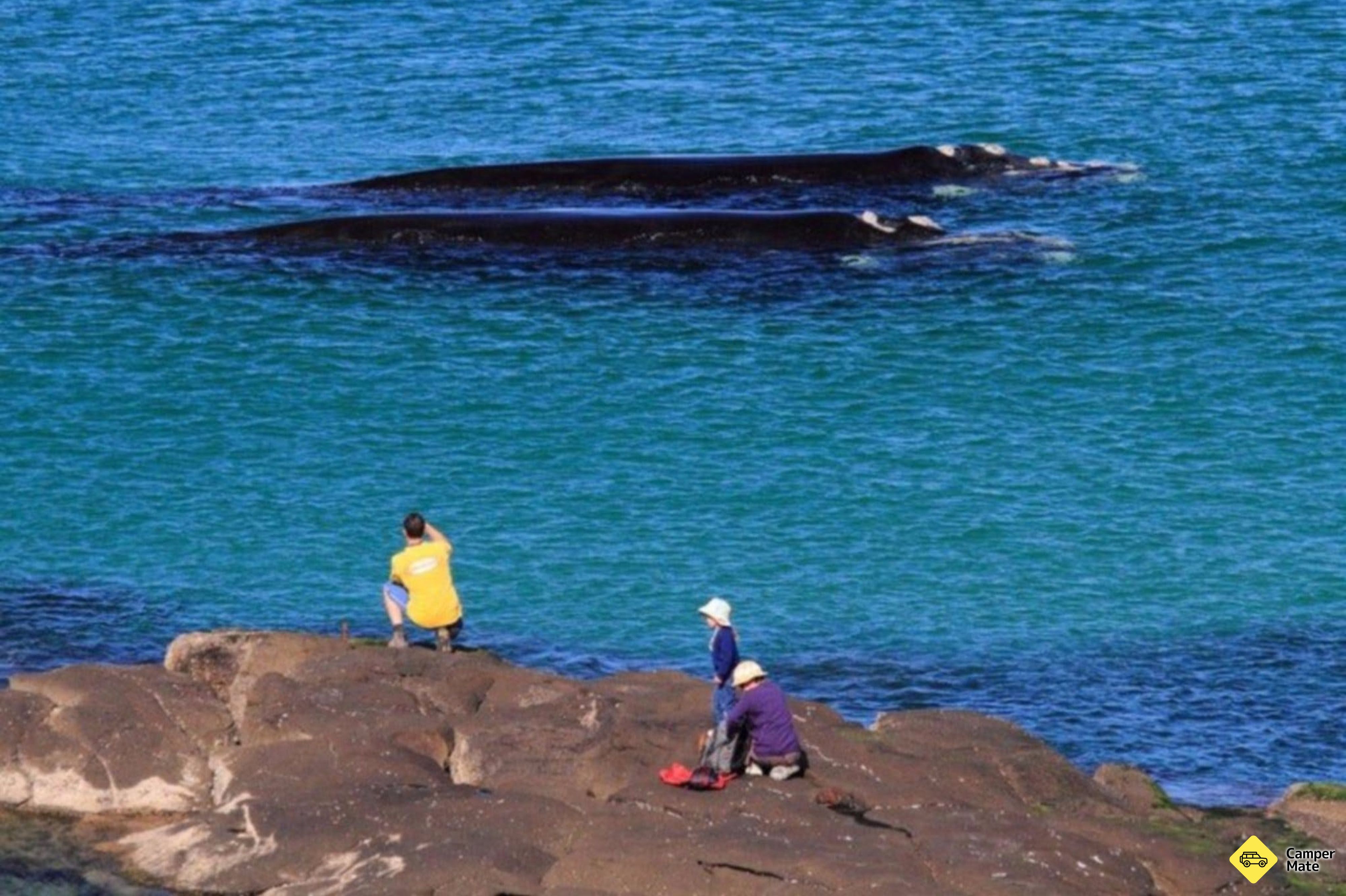 Broulee Island Walk - Image 2