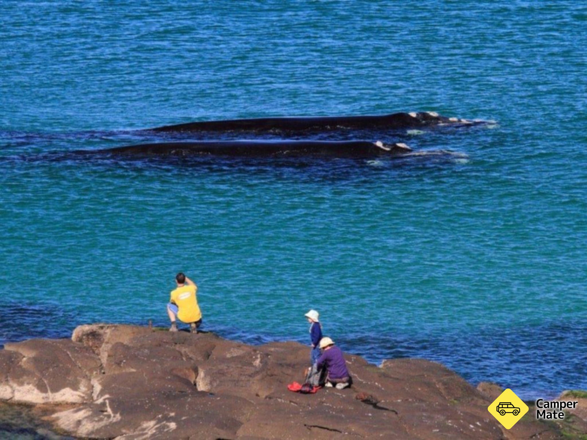Broulee Island Walk - Image 2