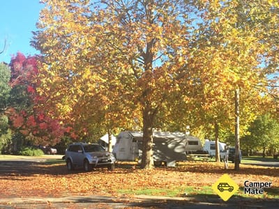 Tumbarumba Caravan Park