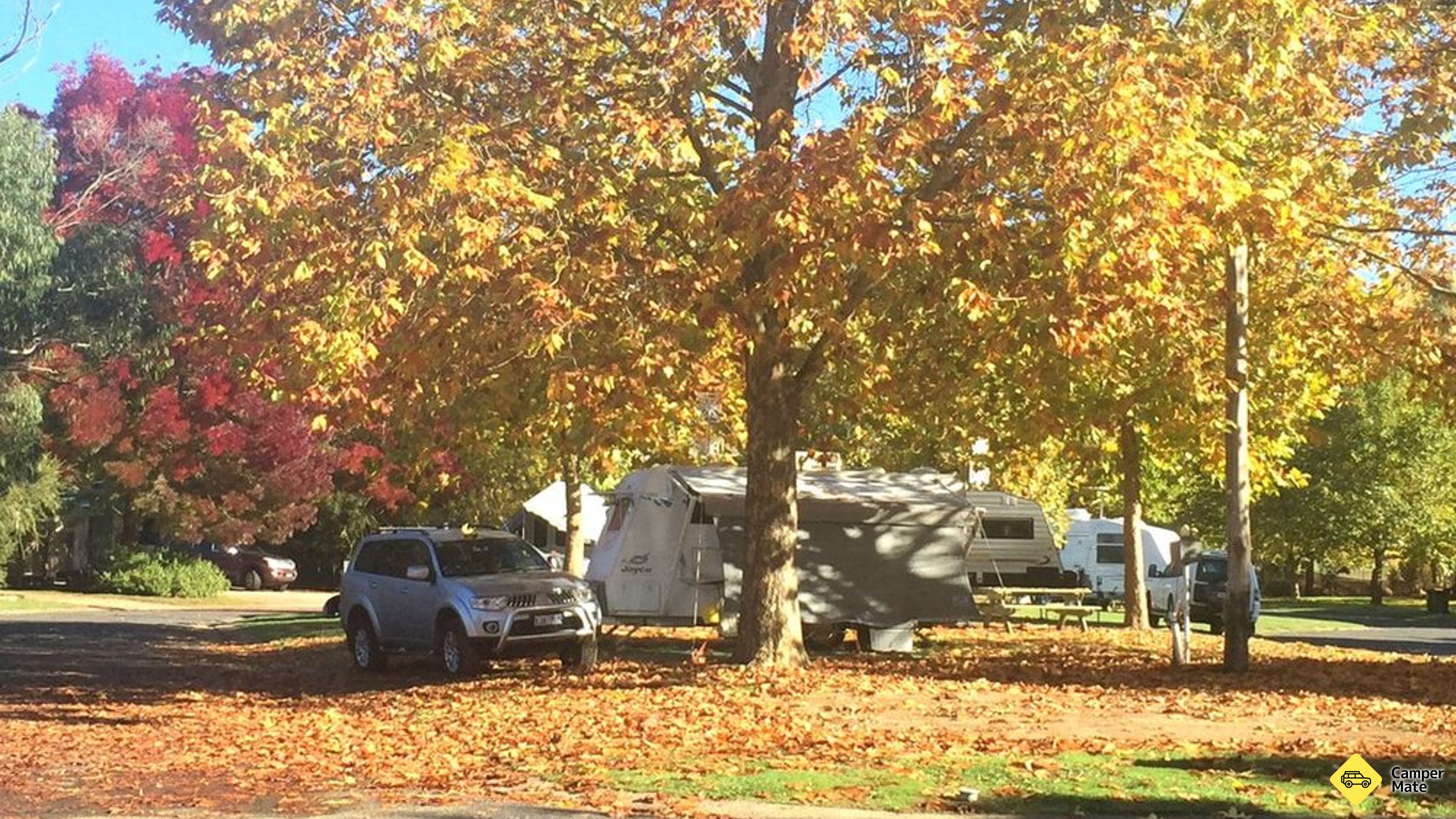 Tumbarumba Caravan Park