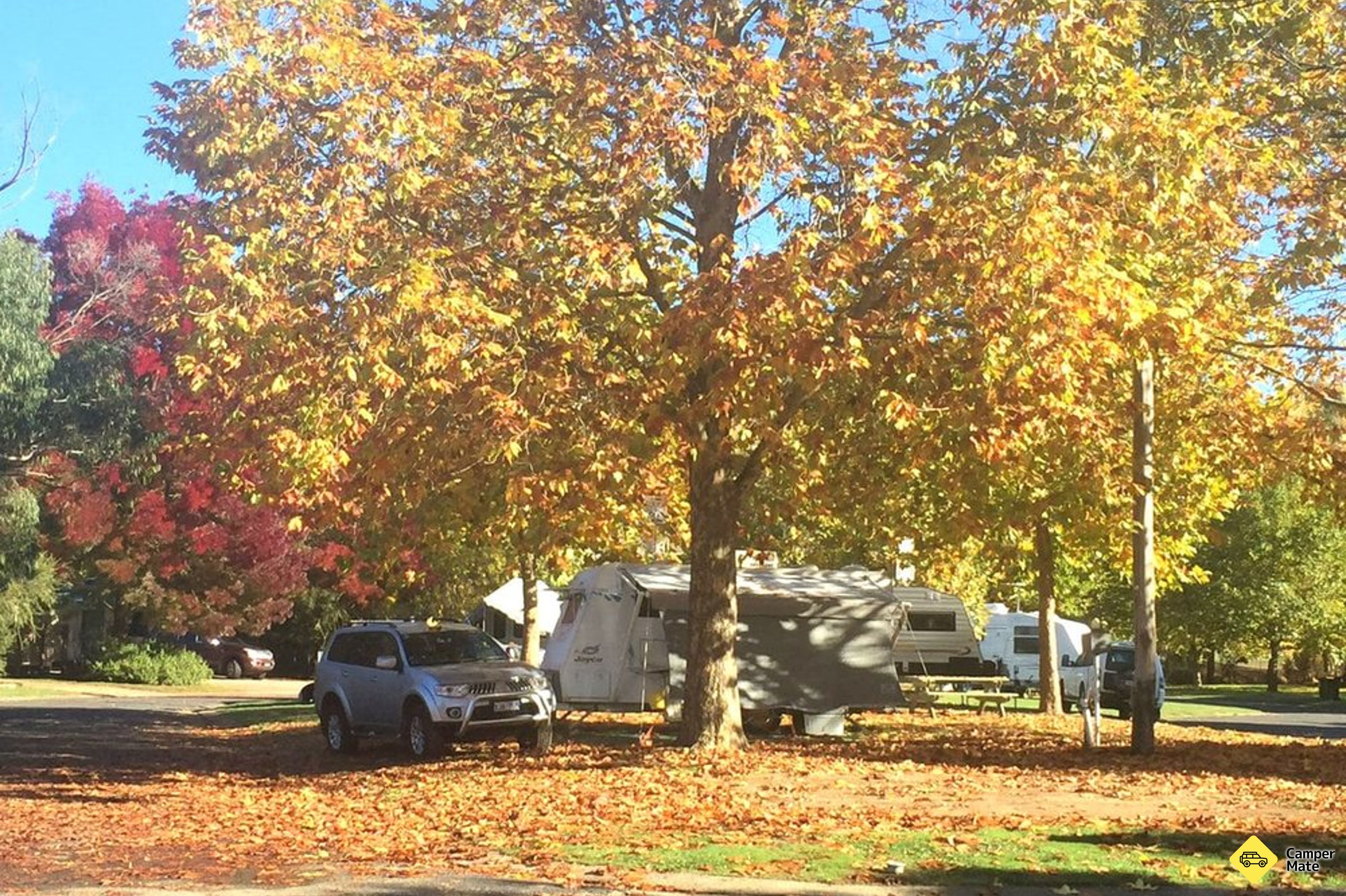 Tumbarumba Caravan Park
