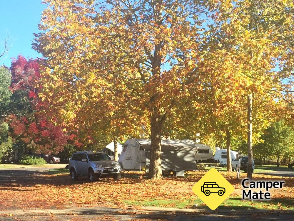 Tumbarumba Caravan Park