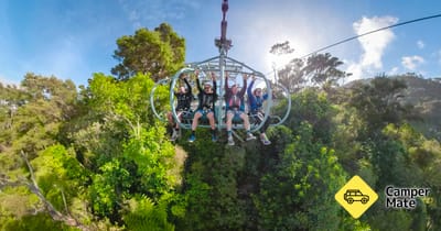 Cable Bay Adventure Park