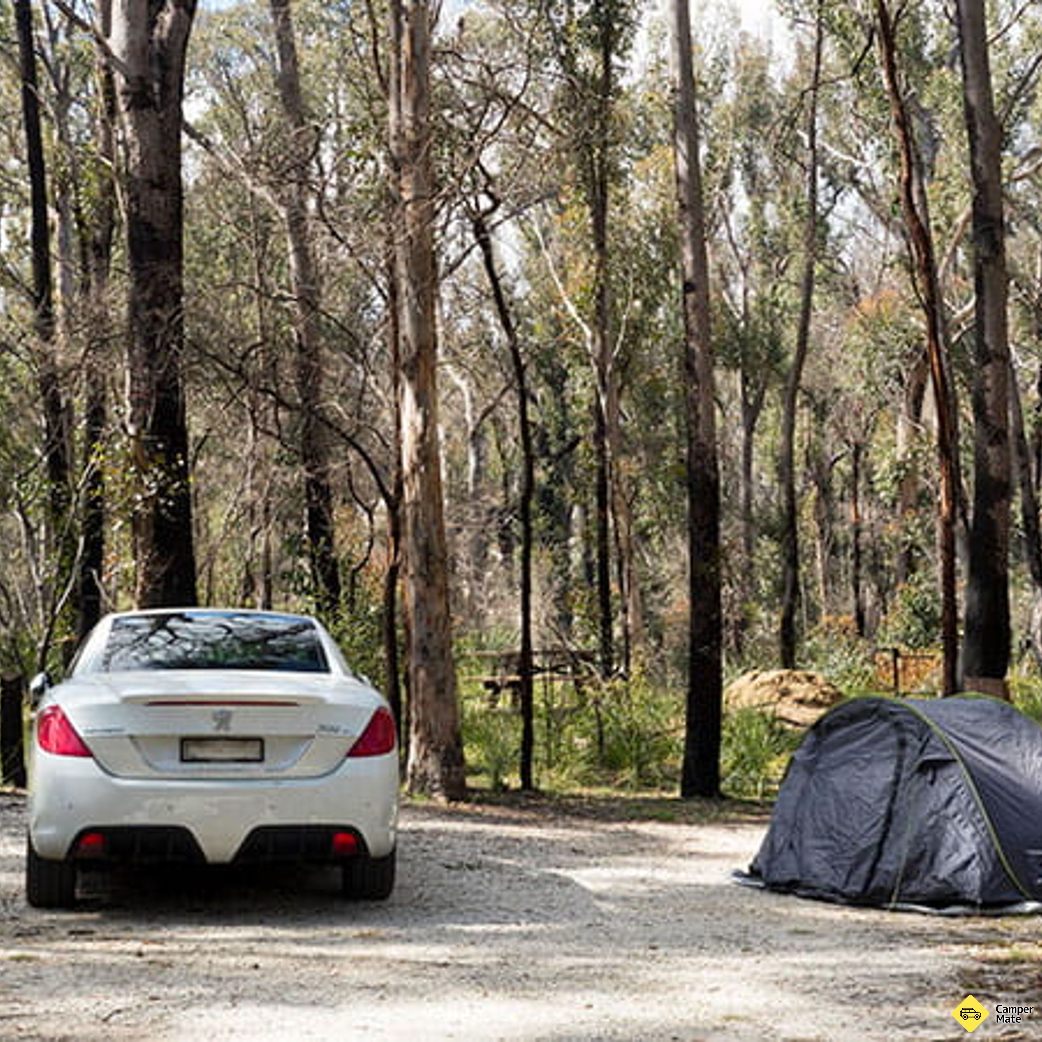 Bald Rock Campground and Picnic Area(バルド・ロックキャンプ場とピクニックエリア) - Image 2