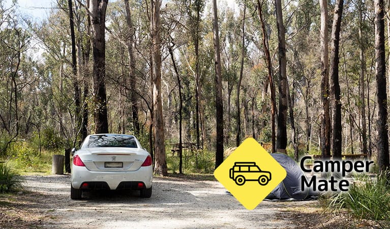 Bald Rock Campground and Picnic Area(バルド・ロックキャンプ場とピクニックエリア) - Image 2