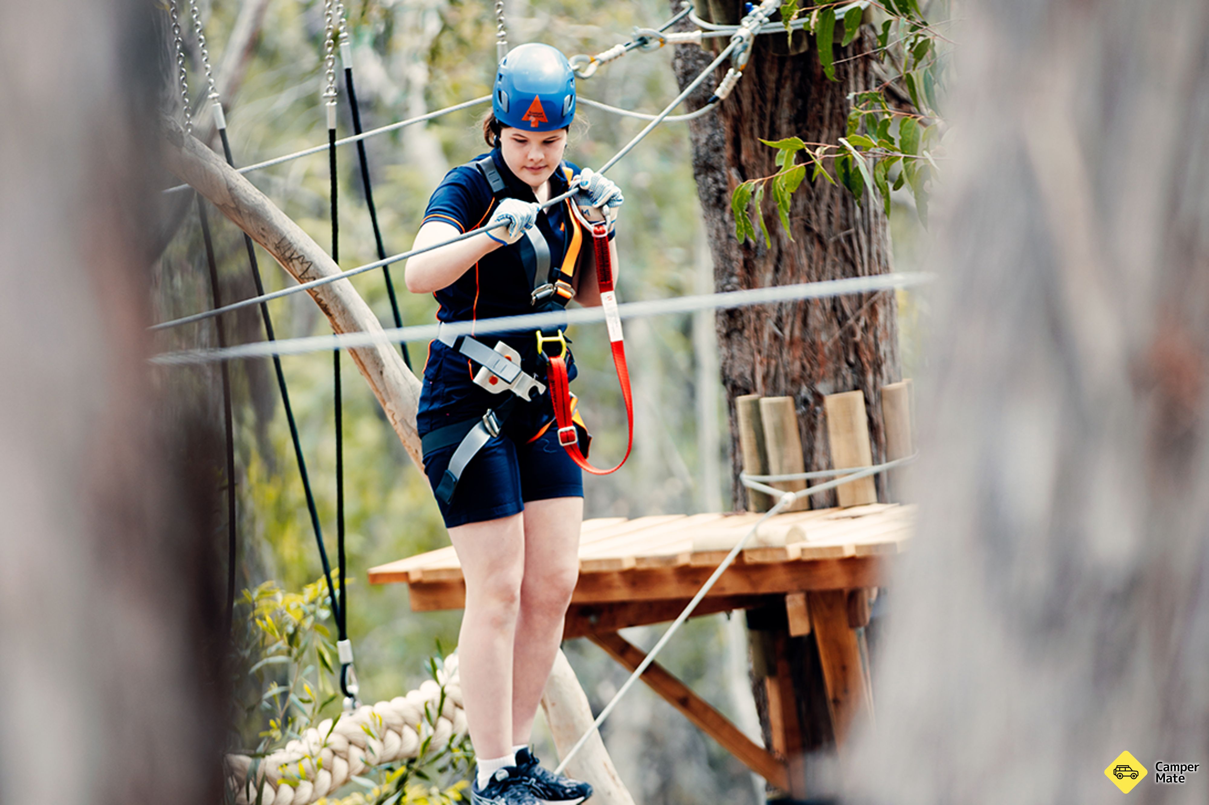 Acties voor Treetops Adventure St Ives - Image 2