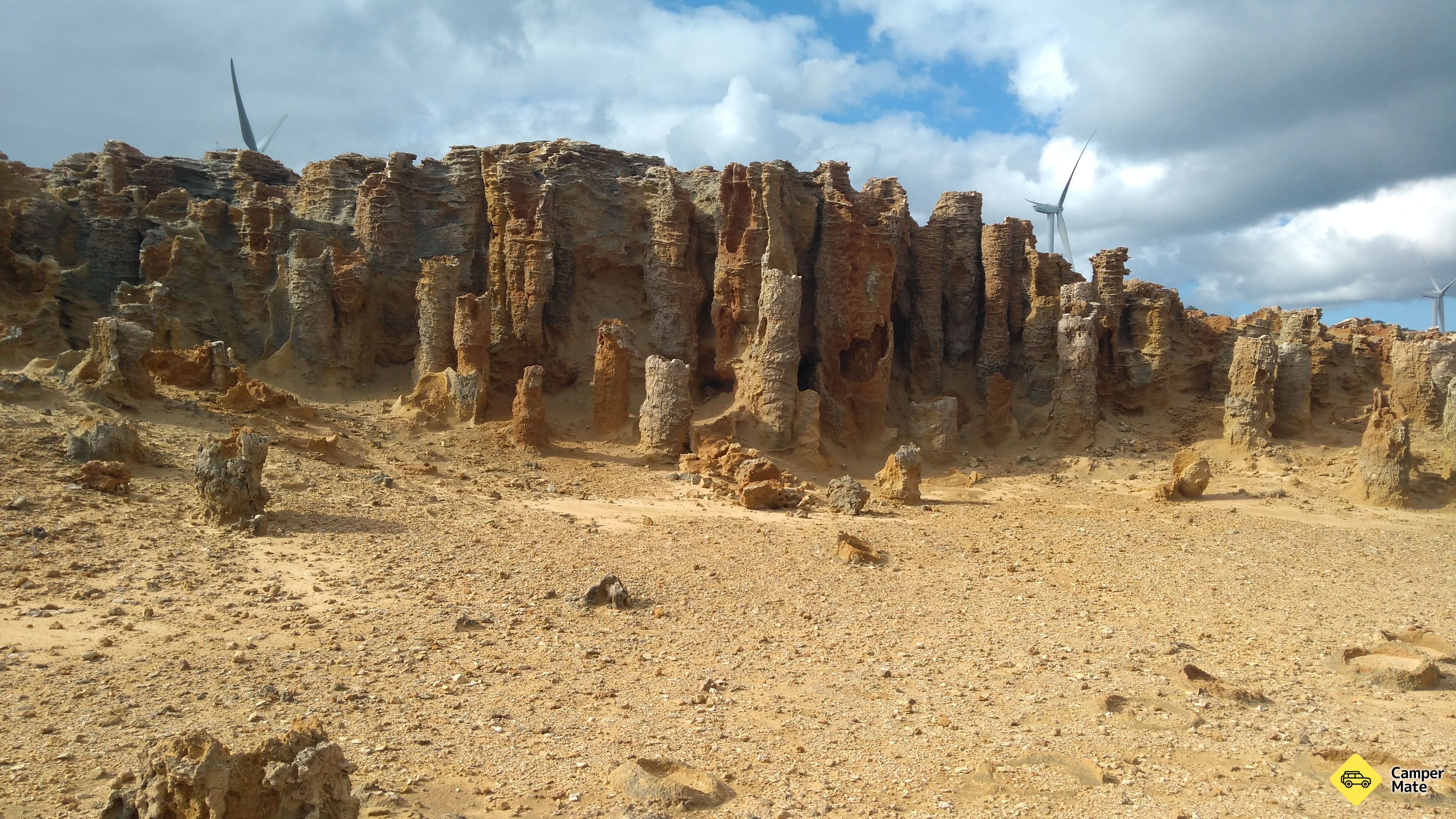 Petrified Forest