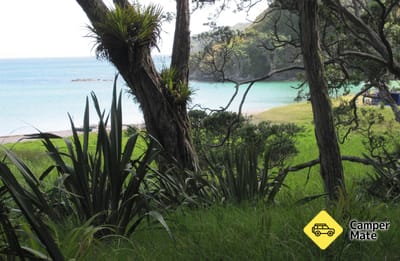 Waikahoa Bay Campsite