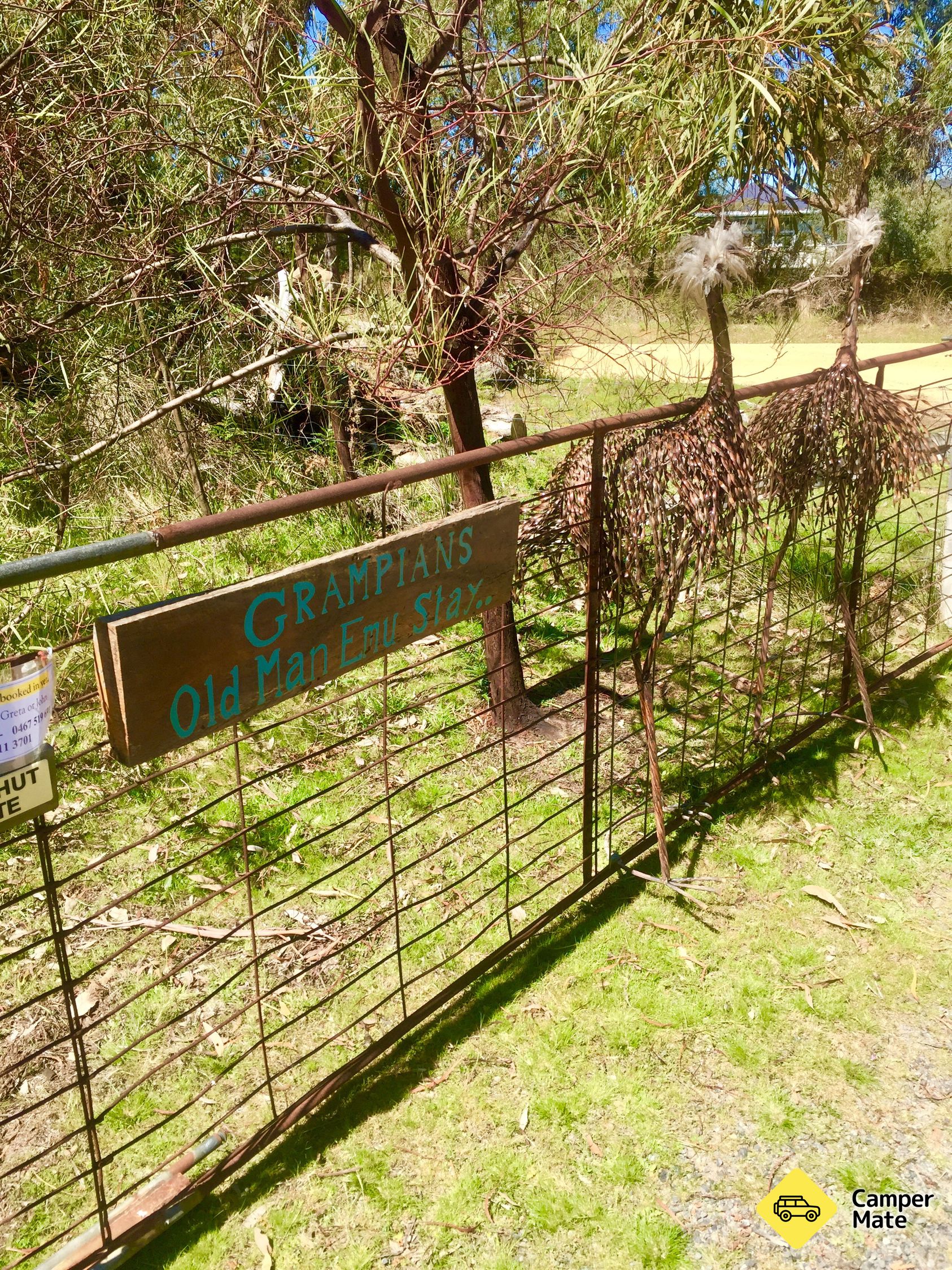 Starý muž Grampians Emu Stay