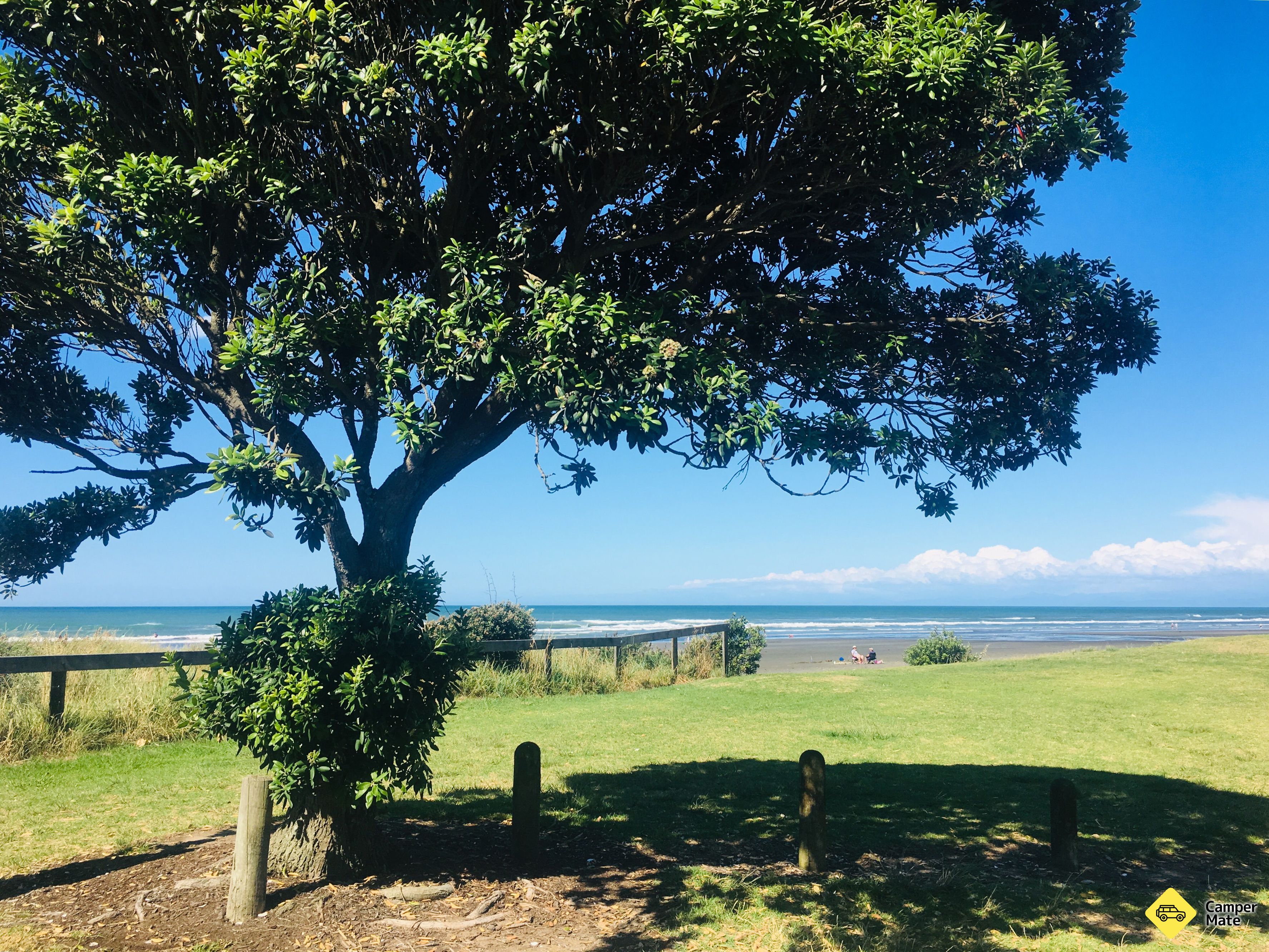 Maraetotara Reserve - Image 3