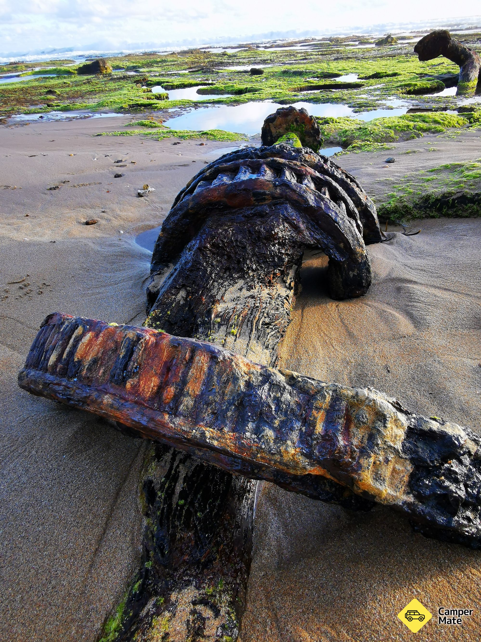 Bãi biển Wreck