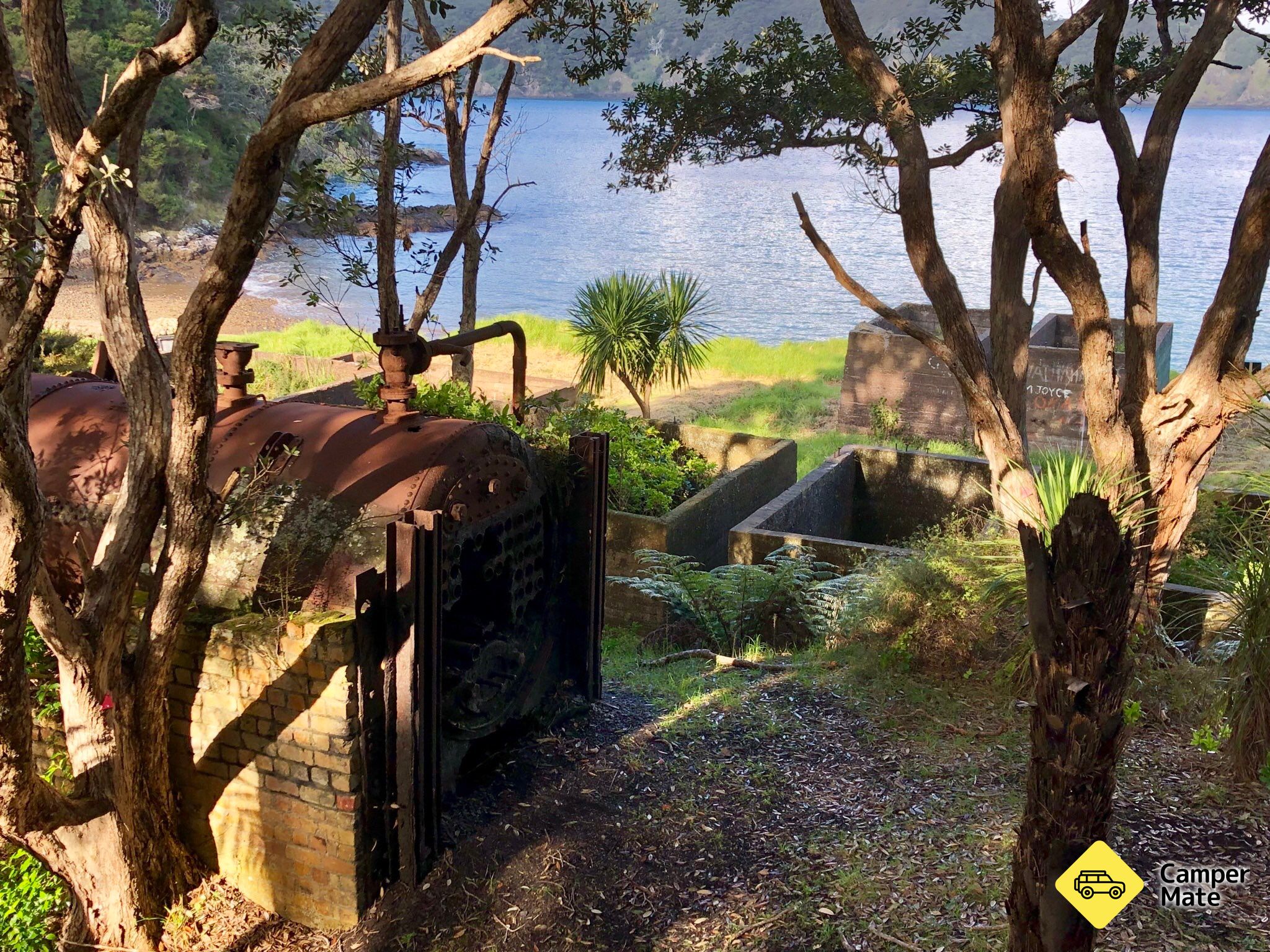 Whangamumu Track - Image 3