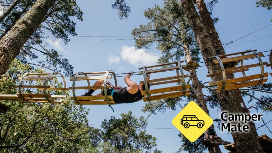 Adrenalin Forest - Wellington - Image 3