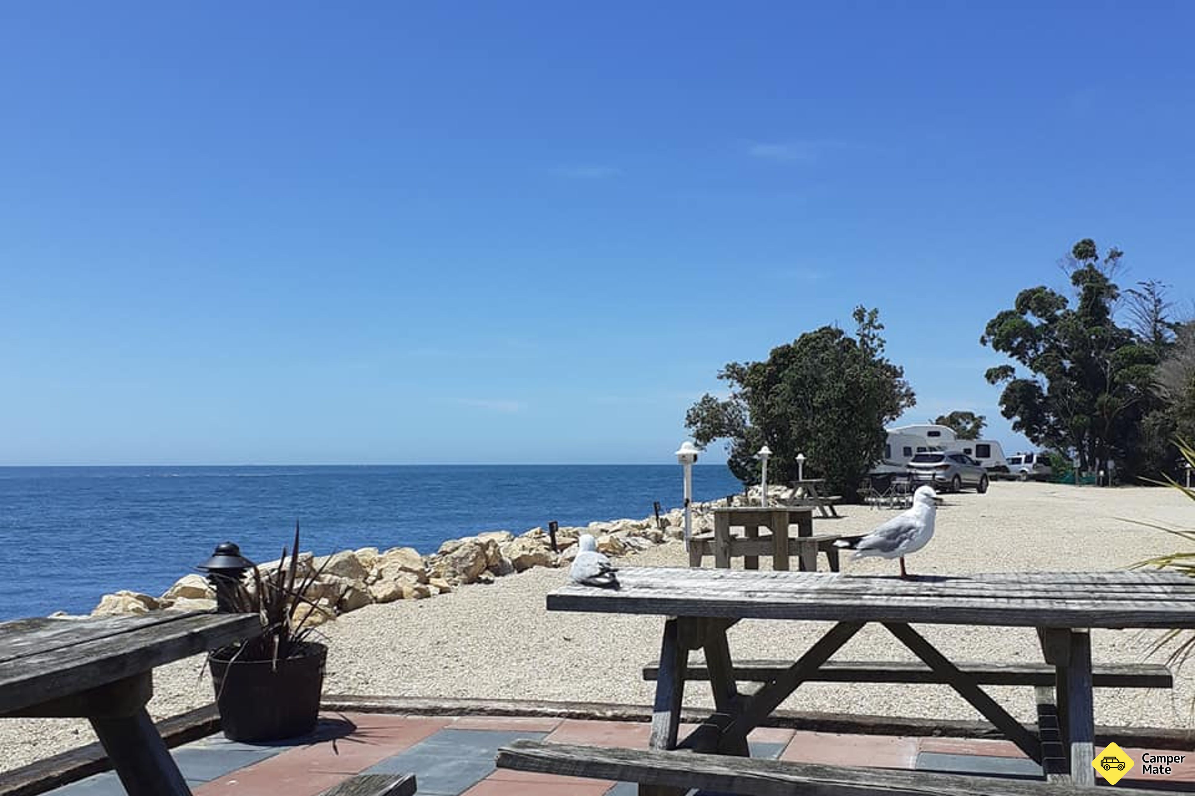 حديقة Collingwood Holiday Park - Image 3