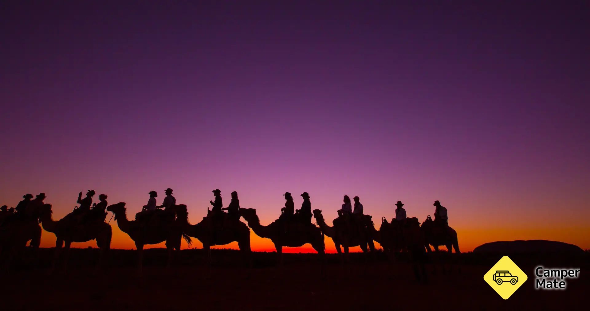 Camel til solnedgang
