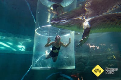Crocosaurus Cove Crocodile Park