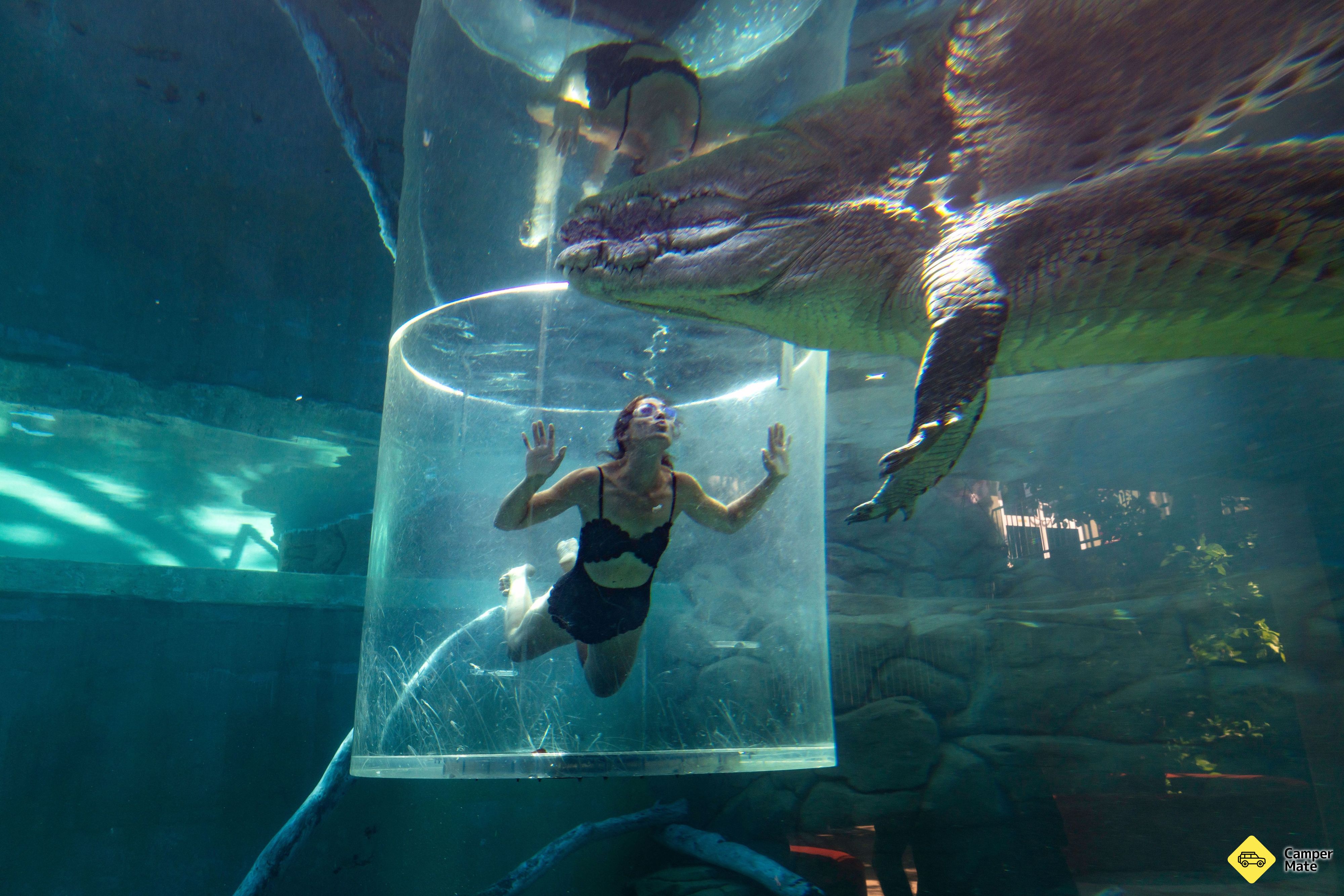 Ontdek Darwin: Tropische Avonturen & Waterfront Wonderen