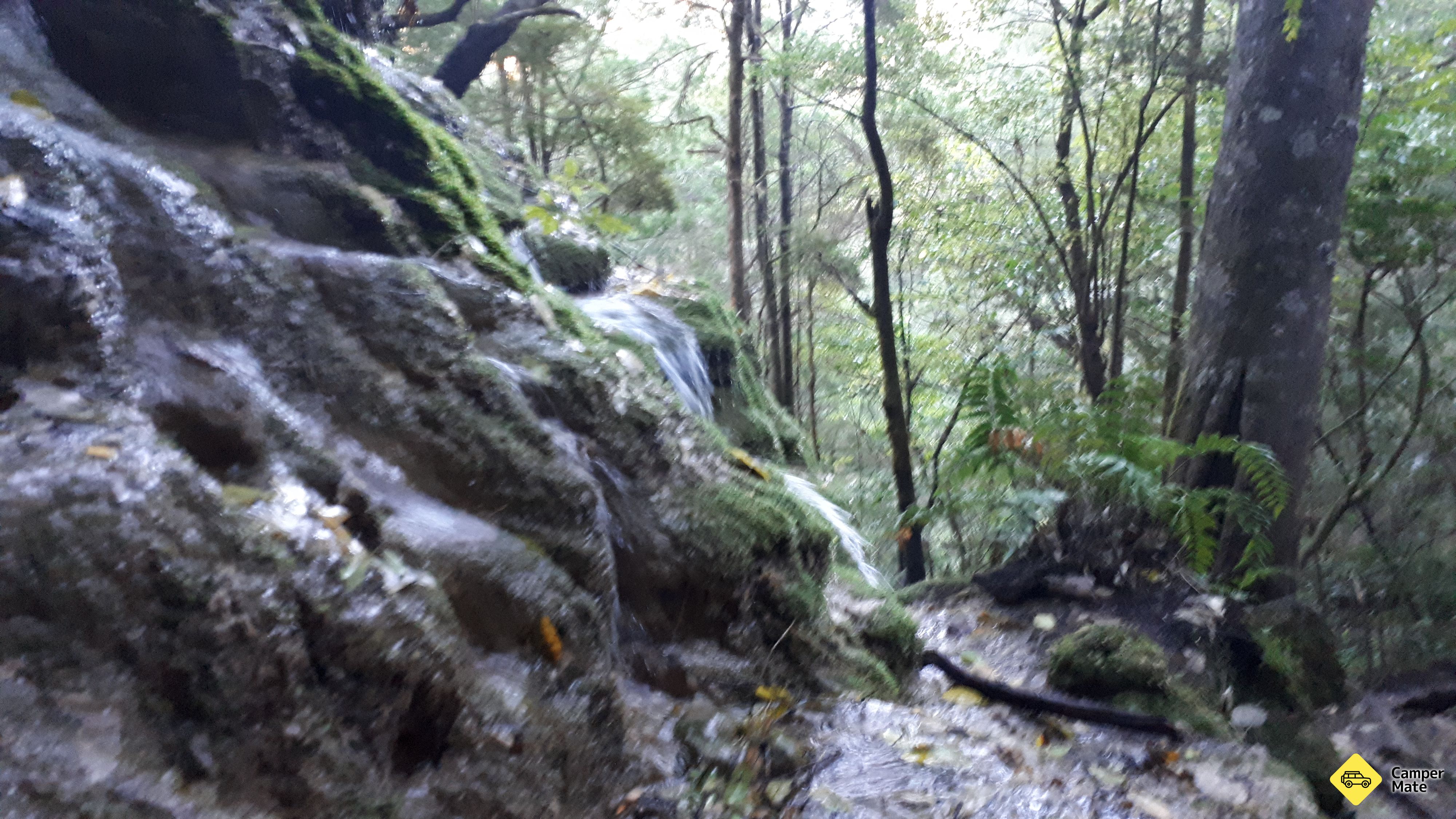 Whispering Fallsの記事一覧 - Image 2
