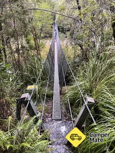 Francês Cap Walking Track
