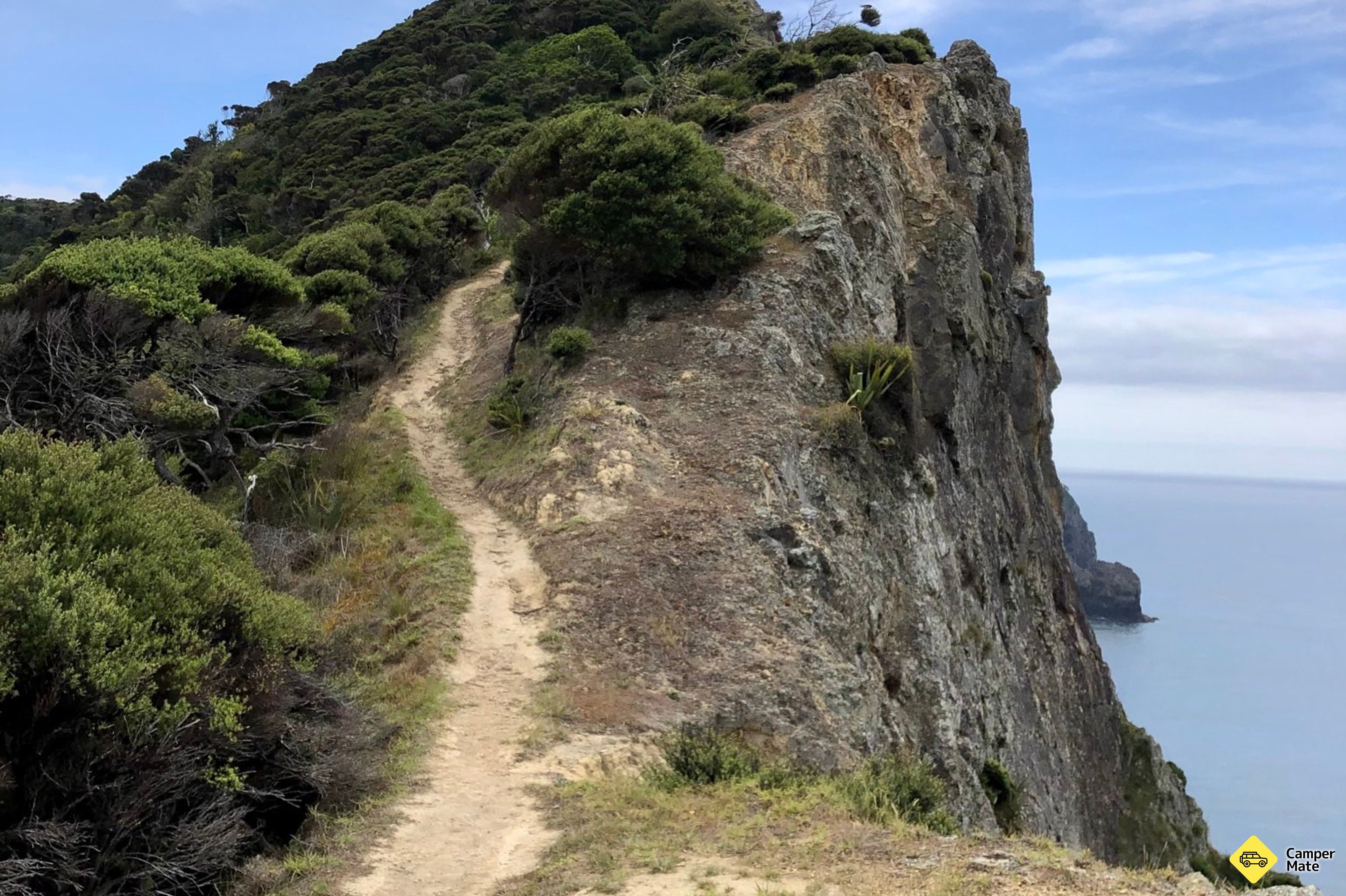 Cape Brett Walkway and Lighthouse - Image 3