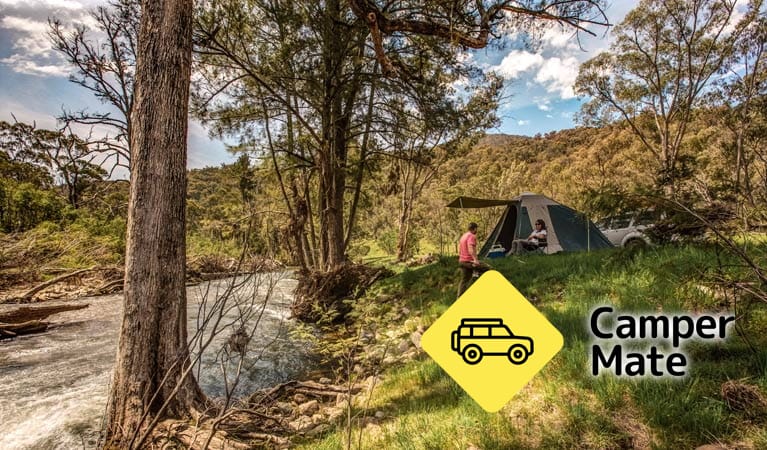 Activiteiten in de omgeving van Lowells Flat Campground
