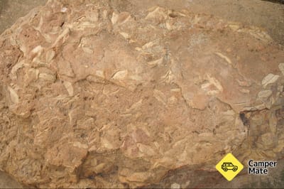 Fossil Rock